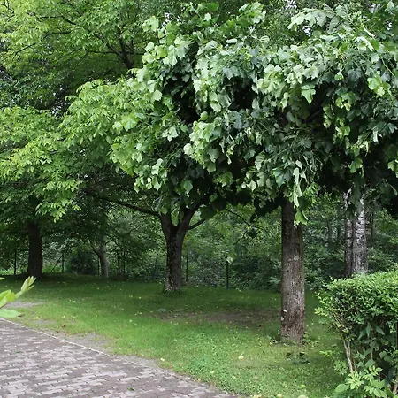 Bellavista Hotell 2*